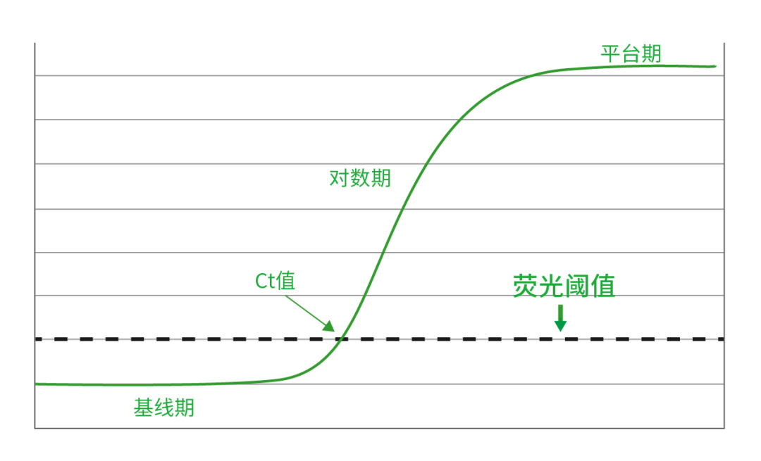 扩增曲线示意图