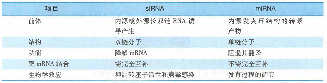 siRNA 和 miRNA 的差异比较